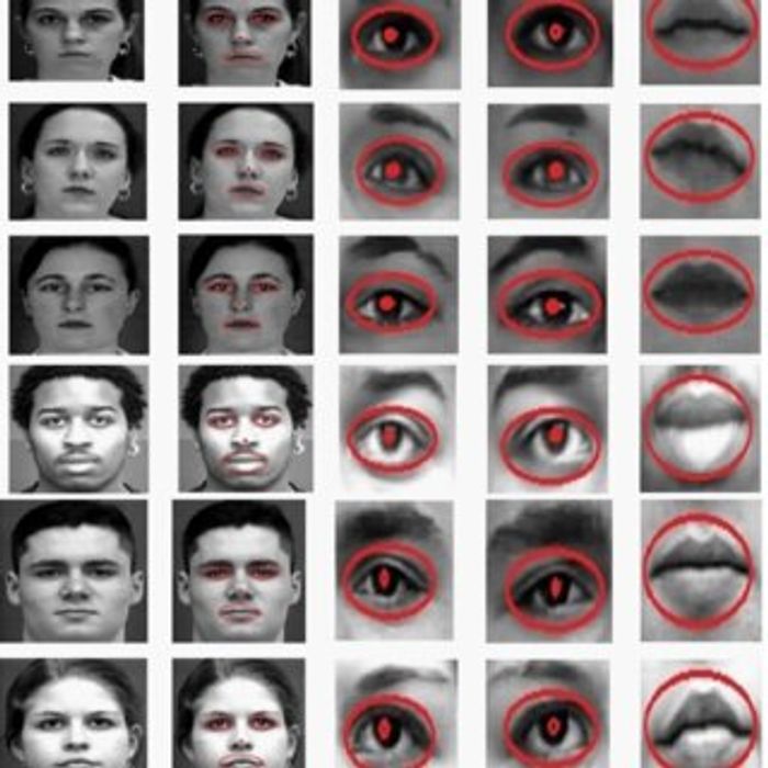 Micro expression examples.