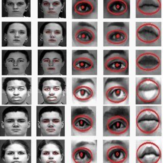Micro expression examples.