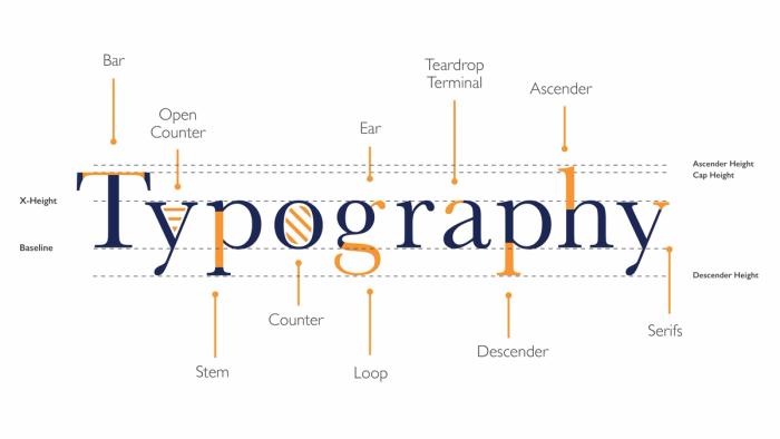 The anatomy of typography.