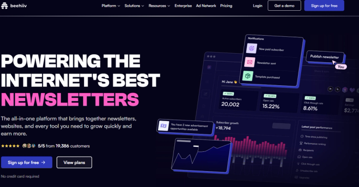 Beehiiv newsletter platform interface showing subscriber growth analytics, open rates, and monetization tools