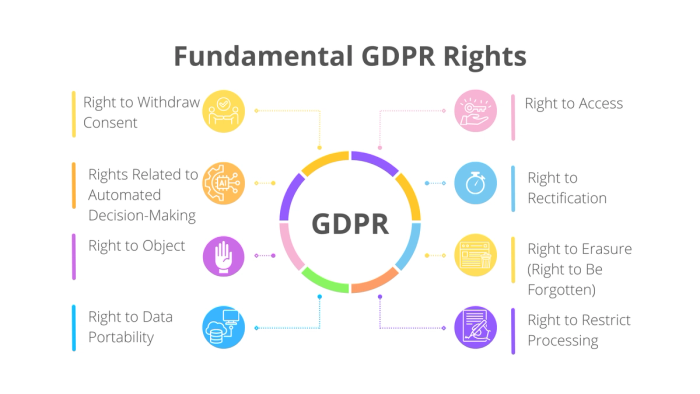 Fundamental GDPR rights.