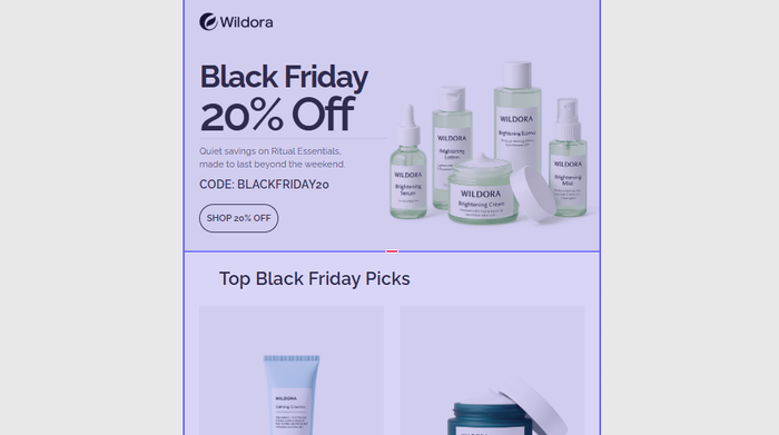 A promotional html email with middle body content 