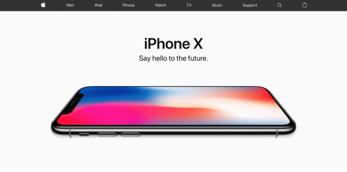 Iphone X page.