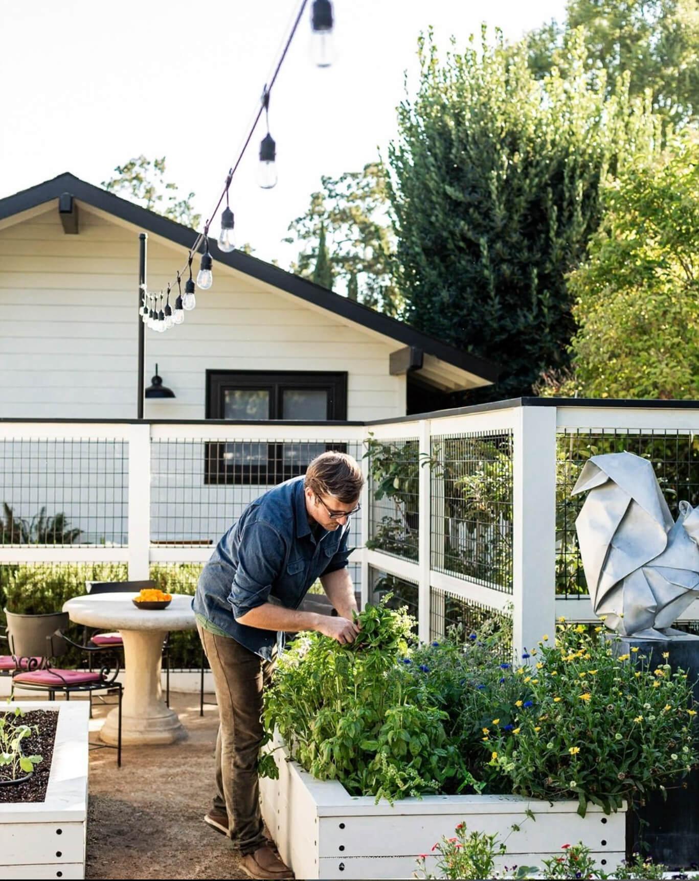 The culinary garden at MacArthur Place Hotel & Spa, a luxury boutique hotel in Sonoma, California, where fresh herbs and produce connect the guest experience to Sonoma’s agricultural landscape and farm-to-table culture. Love & War developed the brand strategy, visual identity and guest experience for MacArthur Place, positioning the historic Sonoma hotel around natural luxury, wellness, local experiences and an authentic connection to Northern California Wine Country.