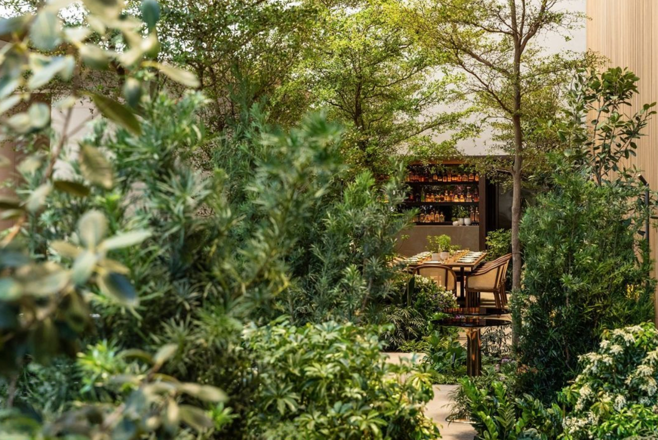 Le Pavillon’s garden-inspired dining room at One Vanderbilt, designed around mature trees, dense greenery and an intimate dining setting.