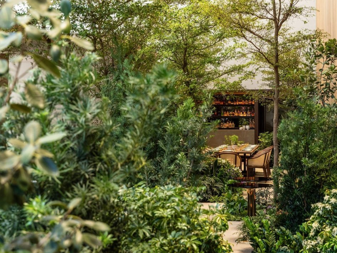 Le Pavillon’s garden-inspired dining room at One Vanderbilt, designed around mature trees, dense greenery and an intimate dining setting.