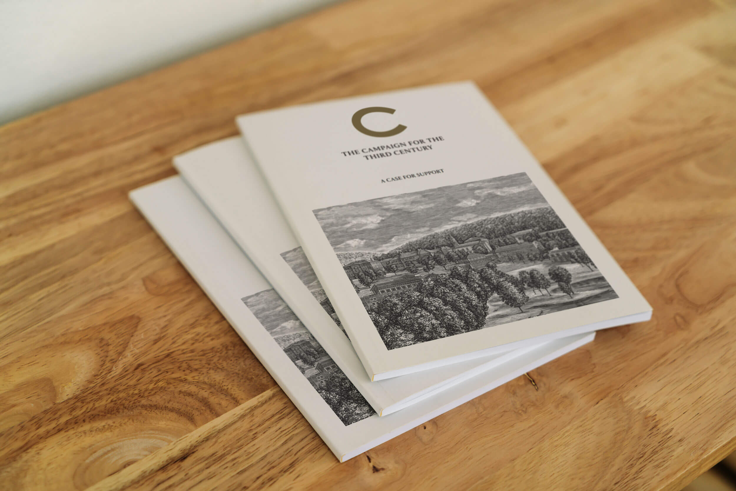 The Campaign For The Third Century brochure