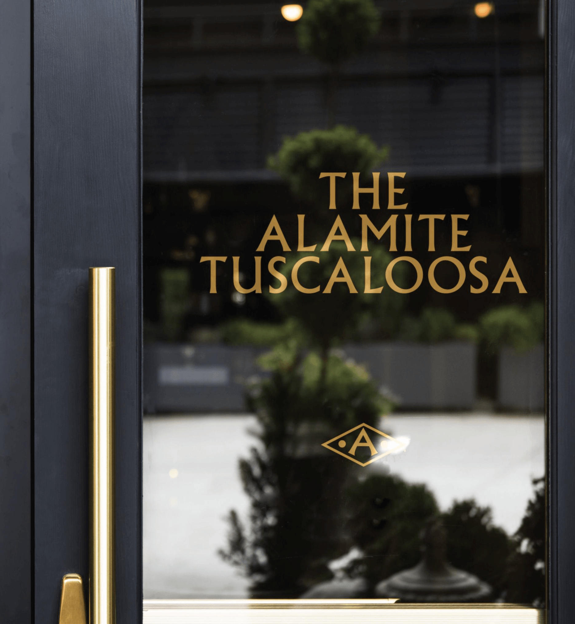The Alamite Tuscaloosa