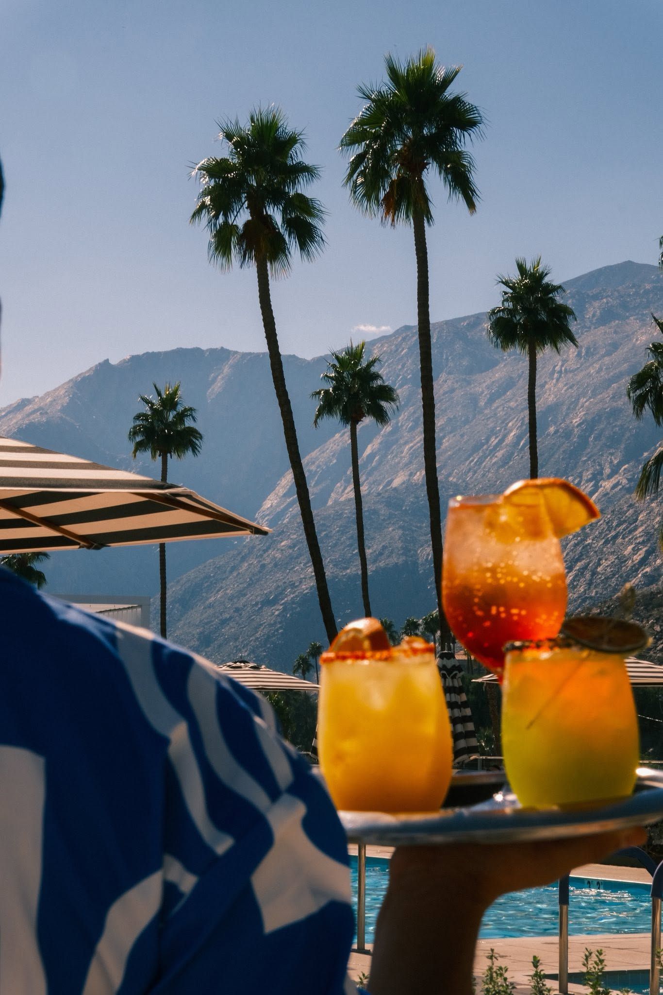 Poolside cocktails at Thompson Palm Springs with palm trees and the San Jacinto Mountains, capturing the relaxed desert setting behind the Lola Rose brand