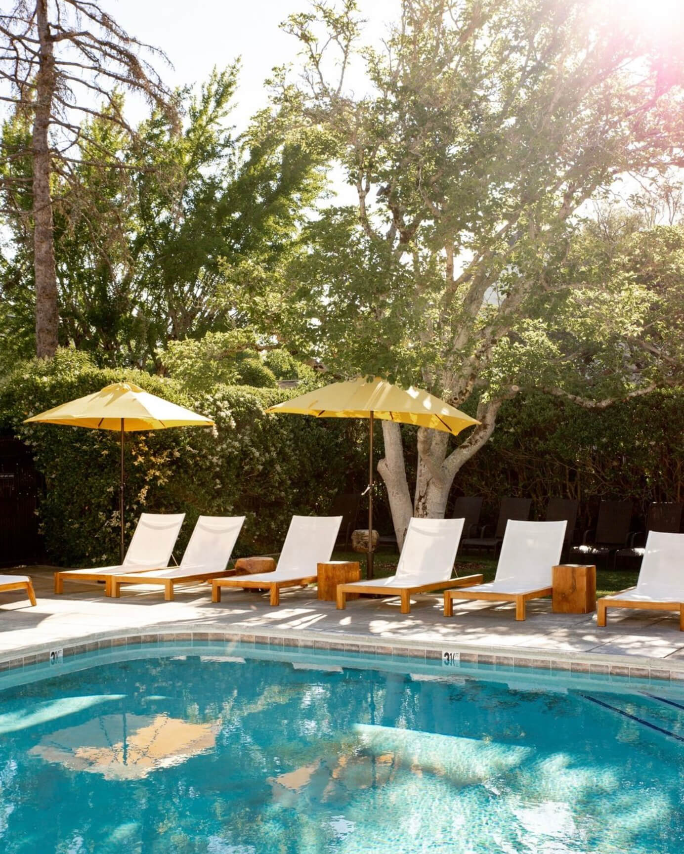 The pool at MacArthur Place Hotel & Spa, a luxury boutique hotel in Sonoma, California, surrounded by mature gardens, shaded lounge areas and the property’s relaxed Wine Country landscape. Love & War developed the brand strategy, visual identity and guest experience for MacArthur Place, repositioning the historic Sonoma hotel around natural luxury, wellness and an authentic connection to Northern California and Sonoma Wine Country.
