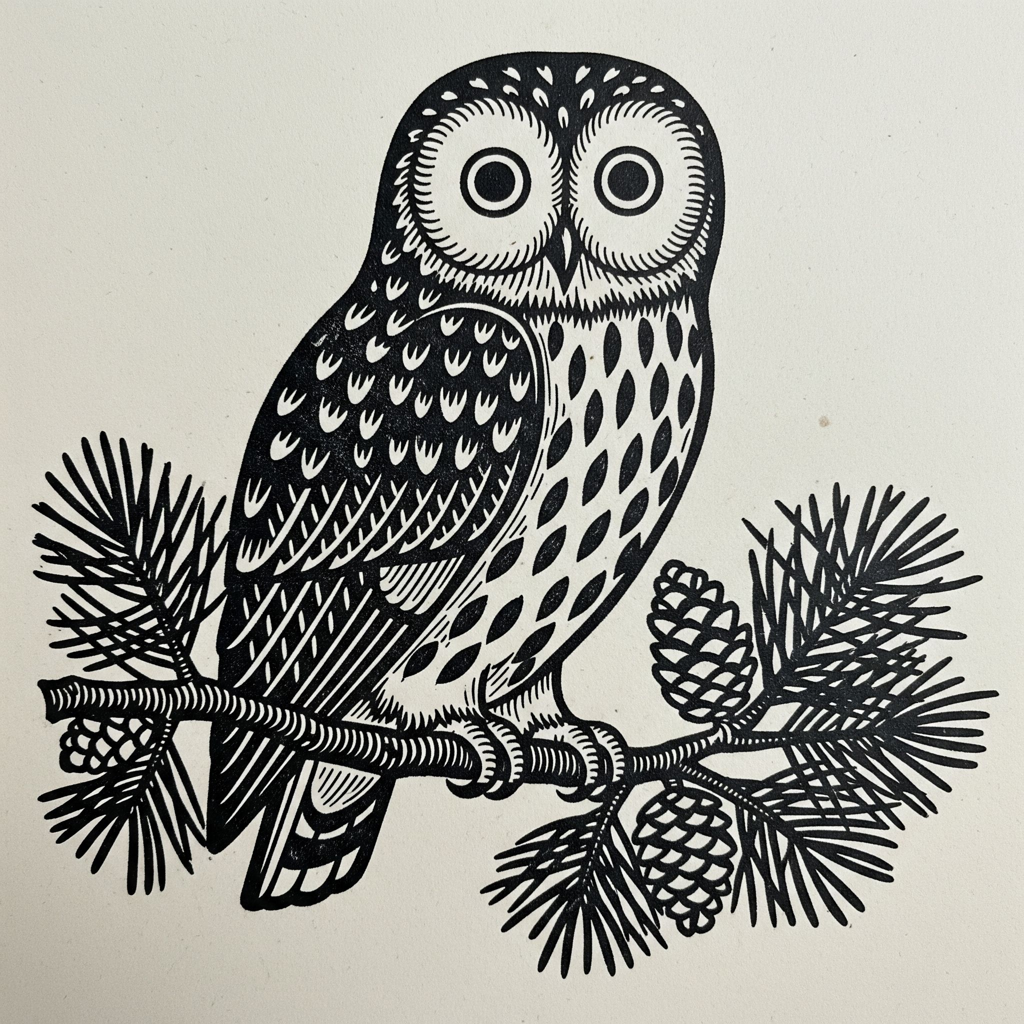 Kenoza Hall owl
