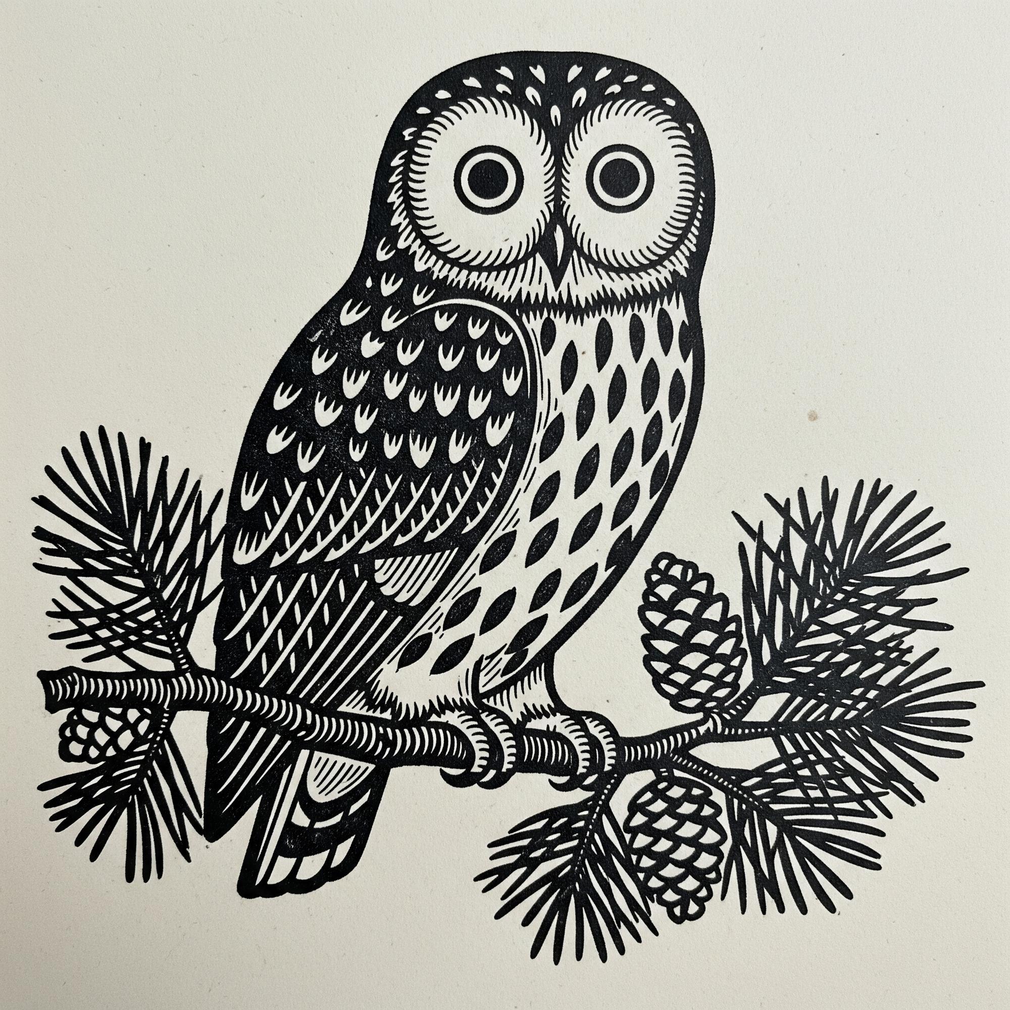 Kenoza Hall owl