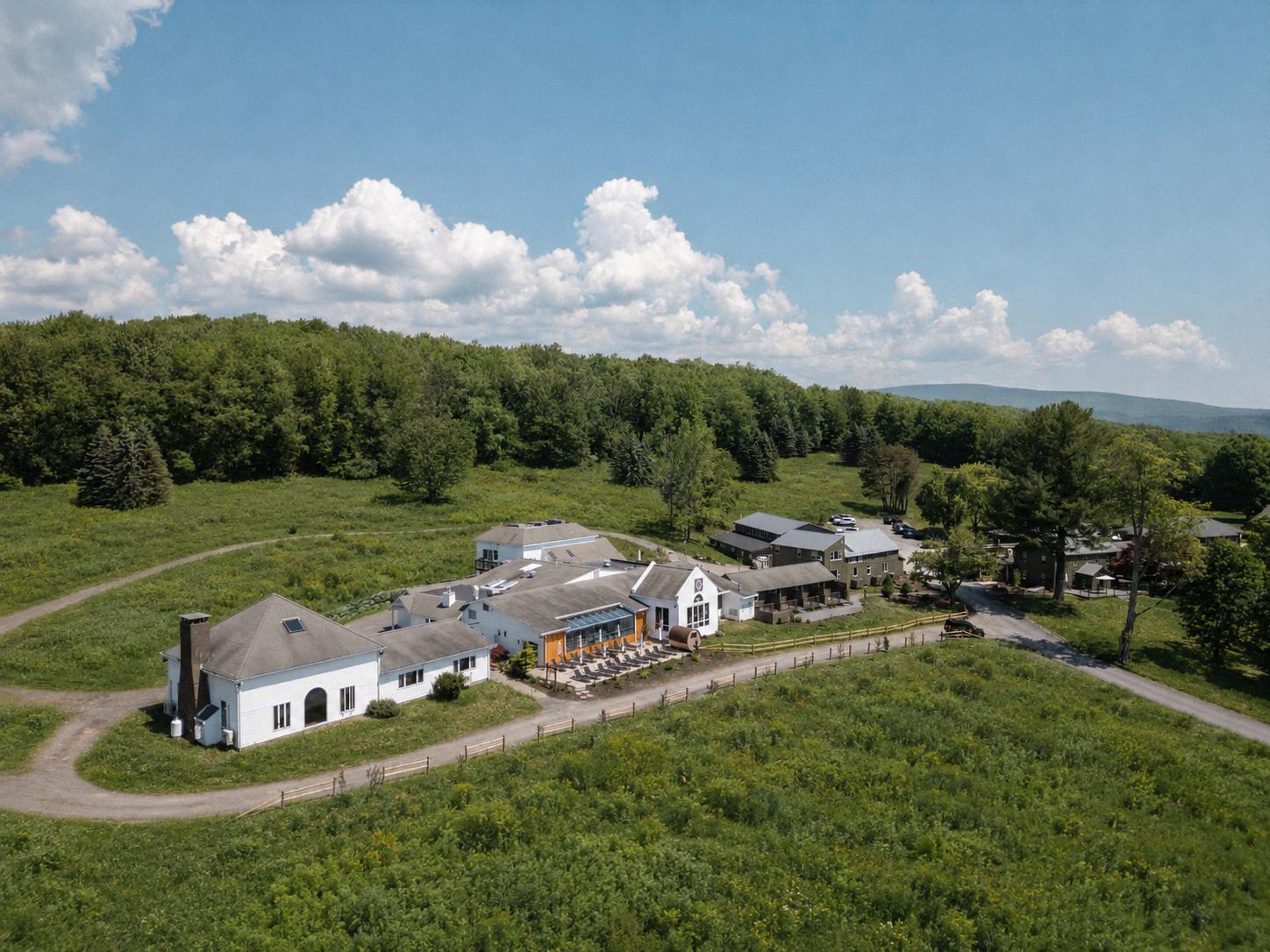 Aerial view of Hemlock Neversink, a Catskills wellness retreat branded by Love & War.