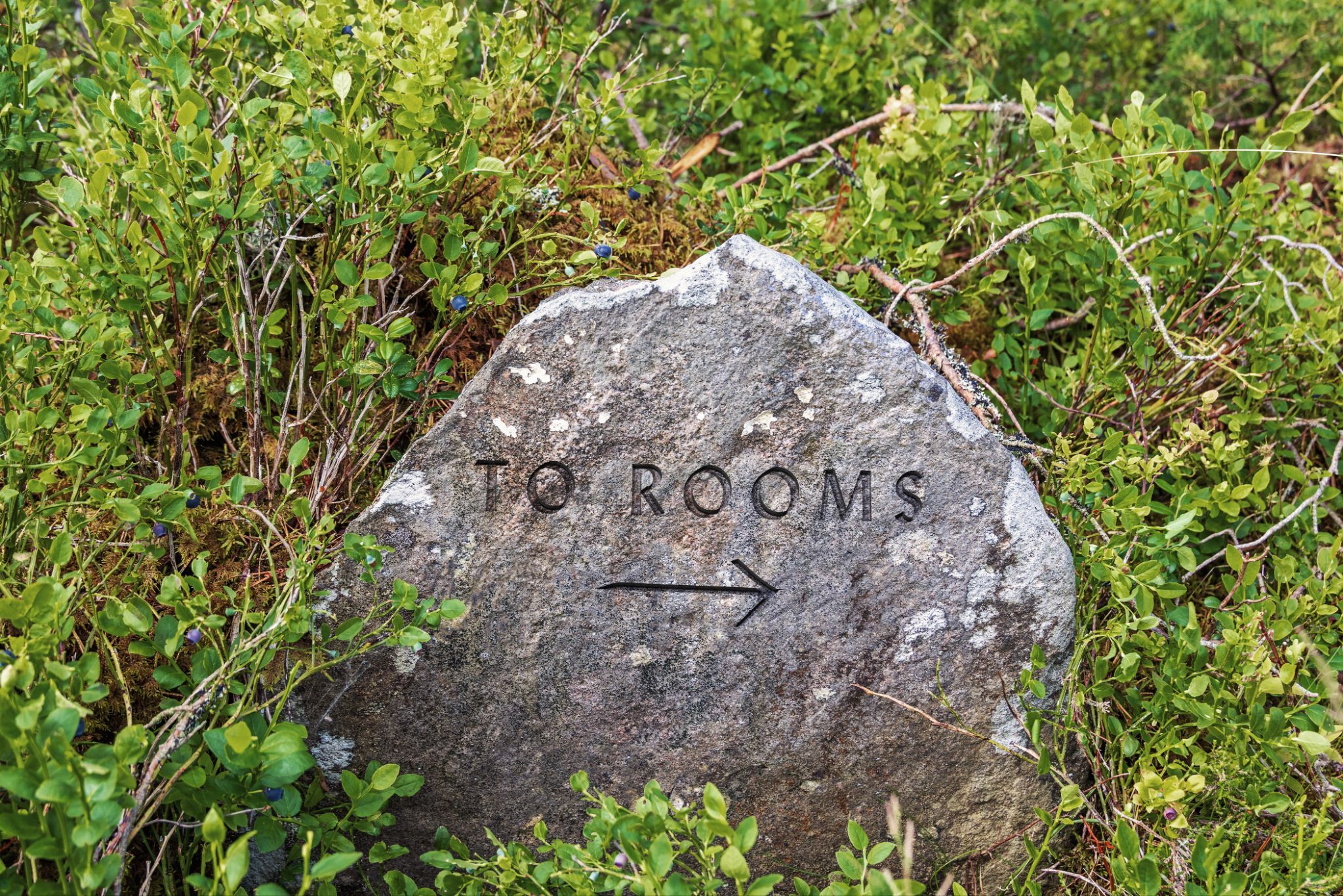 The Bower sign