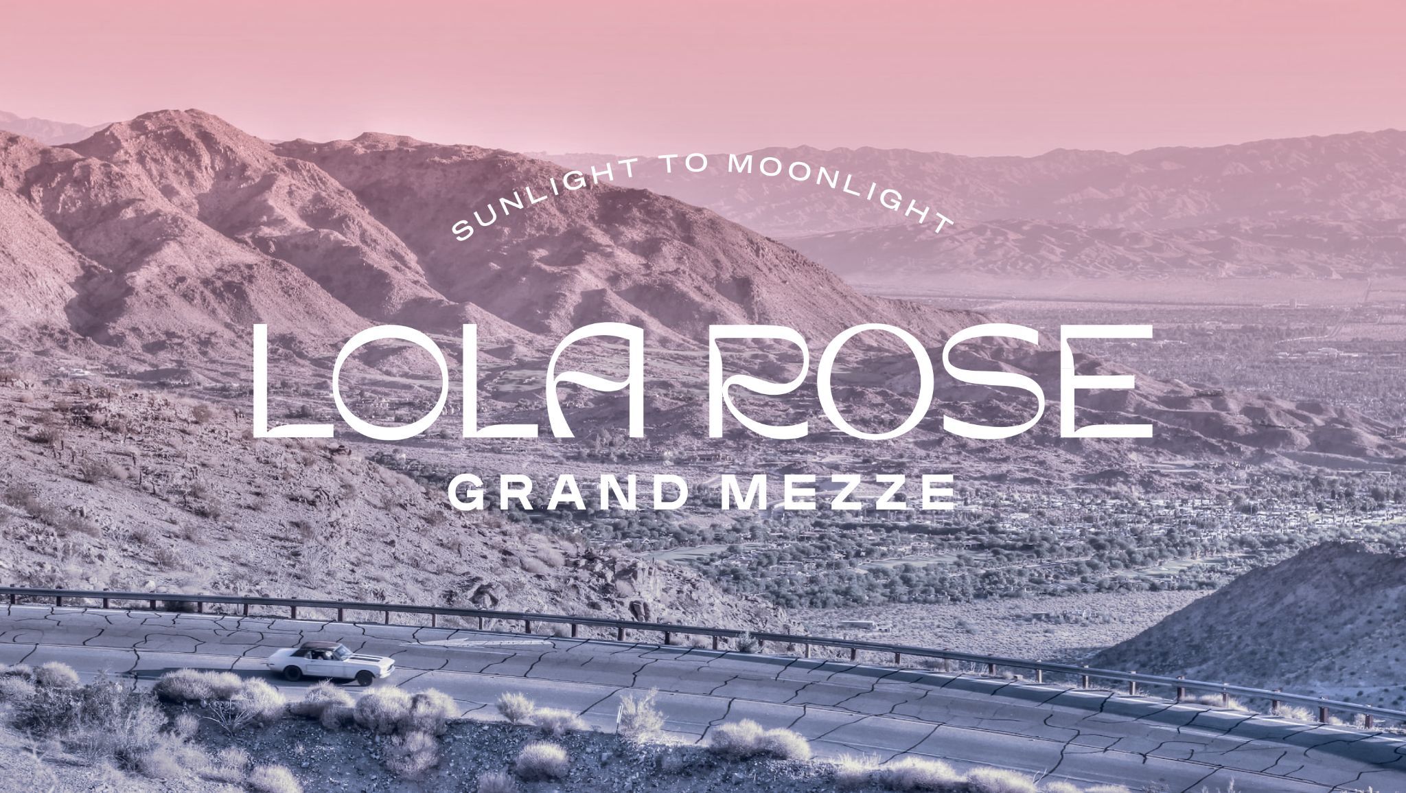 Lola Rose
