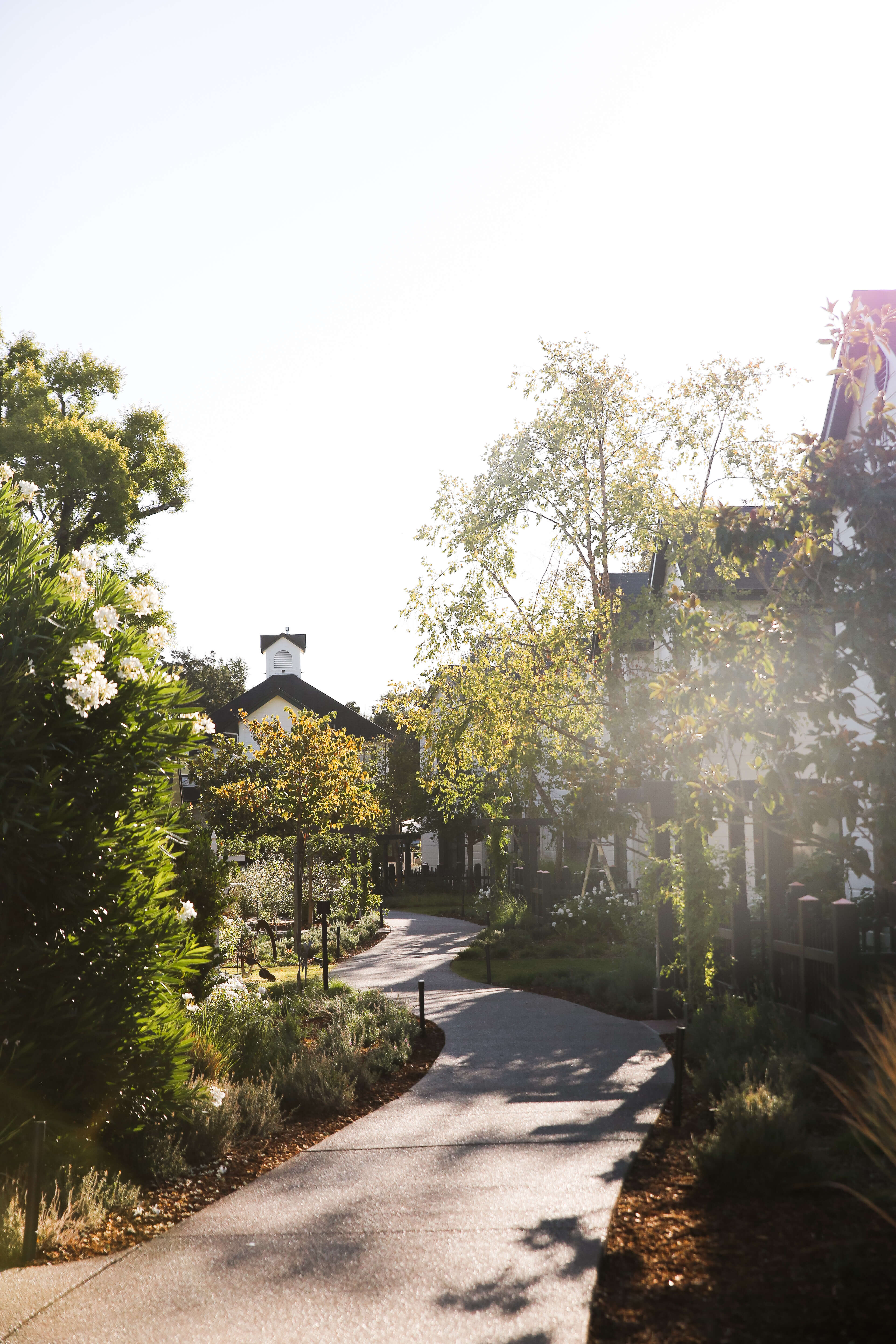The lush gardens and landscaped pathways of MacArthur Place Hotel & Spa, a luxury boutique hotel in Sonoma, California. As part of the property’s repositioning, Love & War developed the brand strategy, visual identity and guest experience for MacArthur Place, advocating for the preservation of its mature landscaping and garden character as an essential part of the brand. The grounds became central to expressing the hotel’s approach to natural luxury and its connection to Sonoma Wine Country.