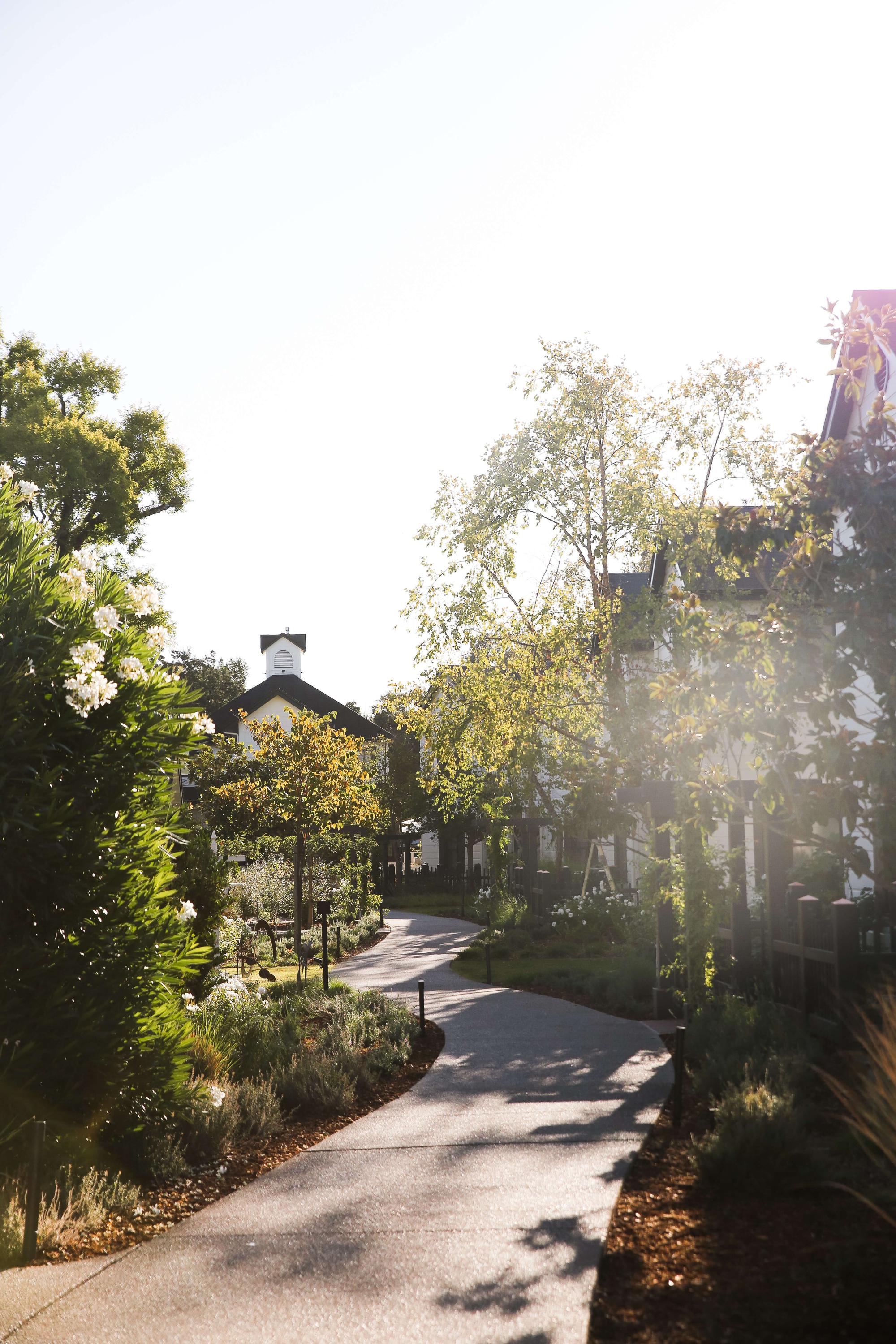 The lush gardens and landscaped pathways of MacArthur Place Hotel & Spa, a luxury boutique hotel in Sonoma, California. As part of the property’s repositioning, Love & War developed the brand strategy, visual identity and guest experience for MacArthur Place, advocating for the preservation of its mature landscaping and garden character as an essential part of the brand. The grounds became central to expressing the hotel’s approach to natural luxury and its connection to Sonoma Wine Country.