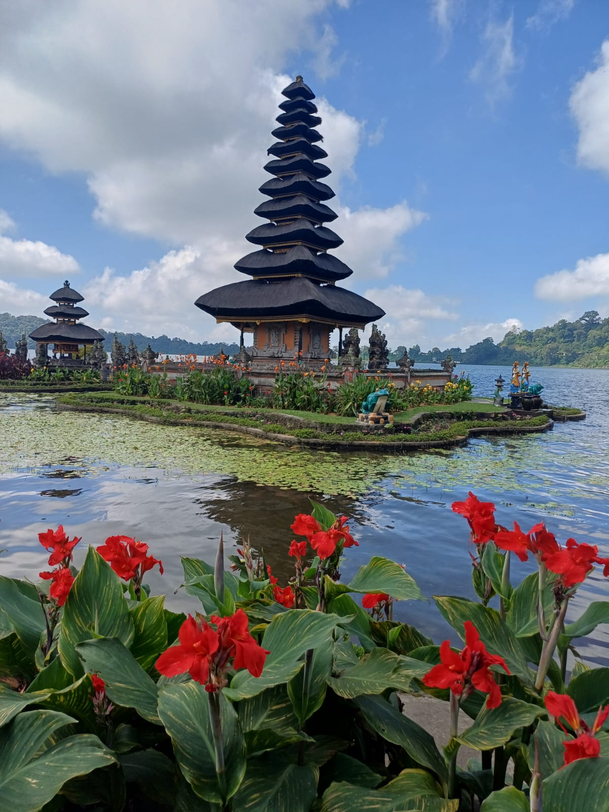 Tanah Lot, Bedugul & Jatiluwih photo 9