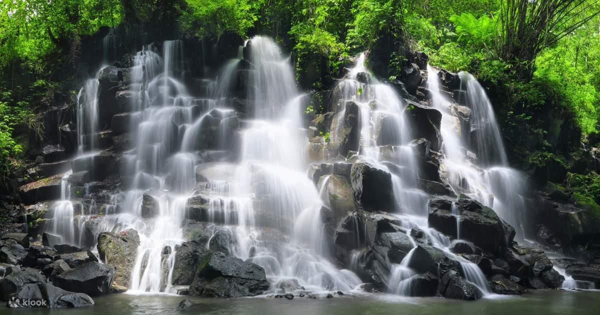 Bali Nature & Kintamani Volcano Adventure photo 5