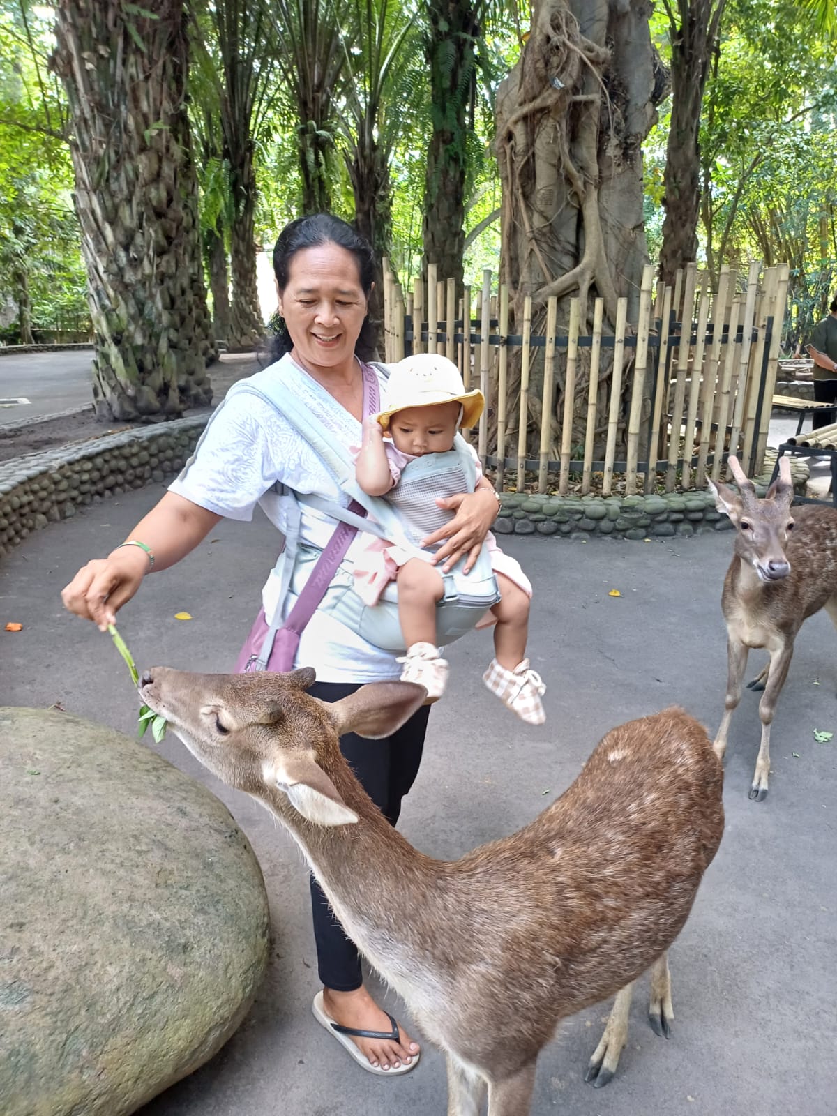 Rafting, Zoo & Bird Park photo 3
