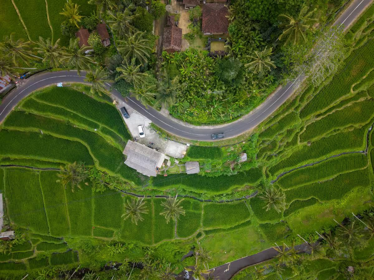 Ubud Culture & Rice Terrace
