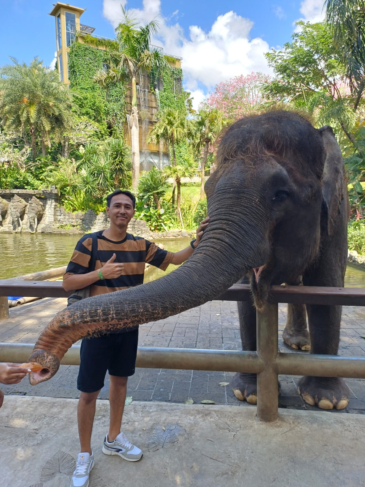 Rafting, Zoo & Bird Park photo 2