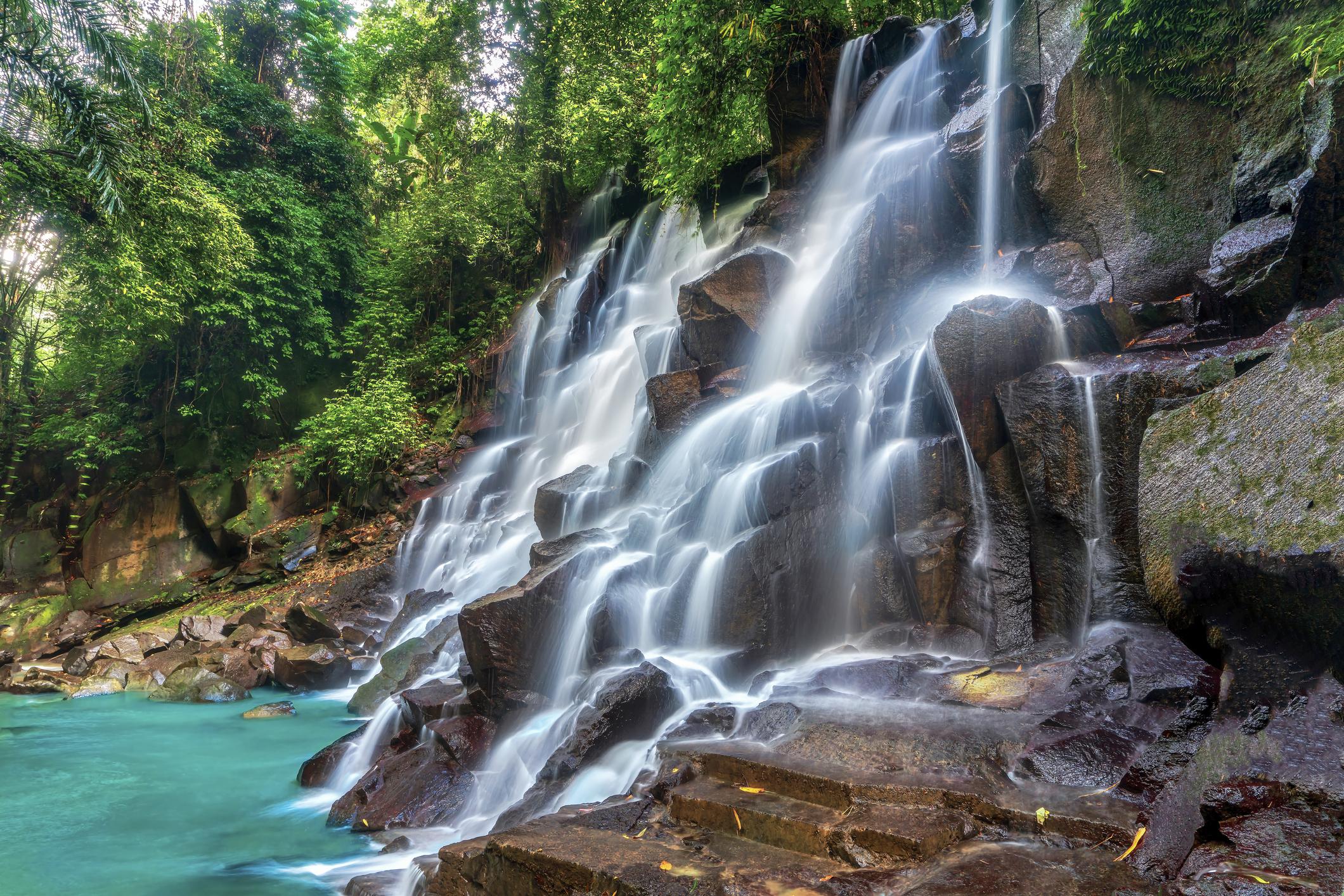 Bali Nature & Kintamani Volcano Adventure photo 4