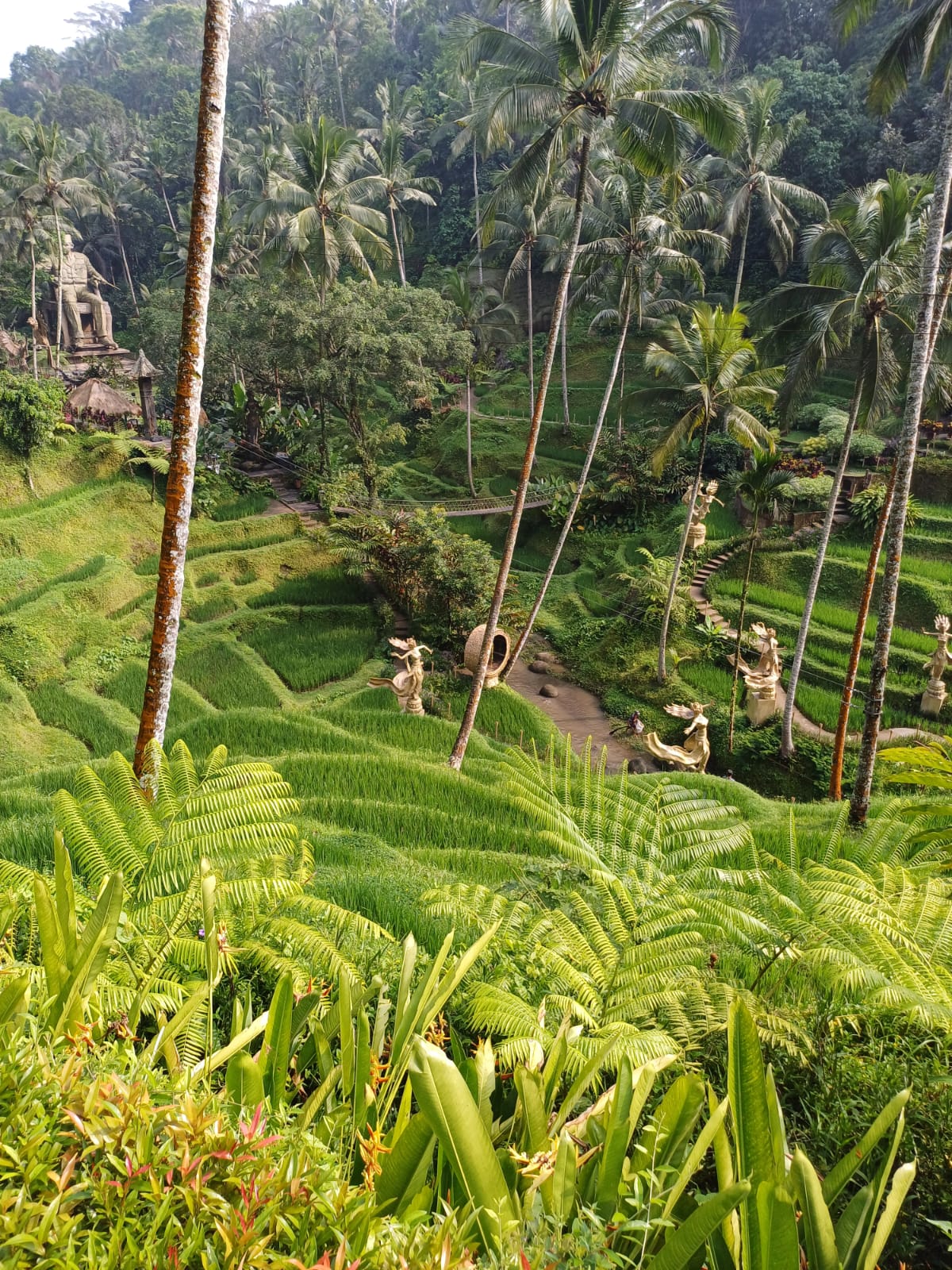 Tanah Lot, Bedugul & Jatiluwih photo 6