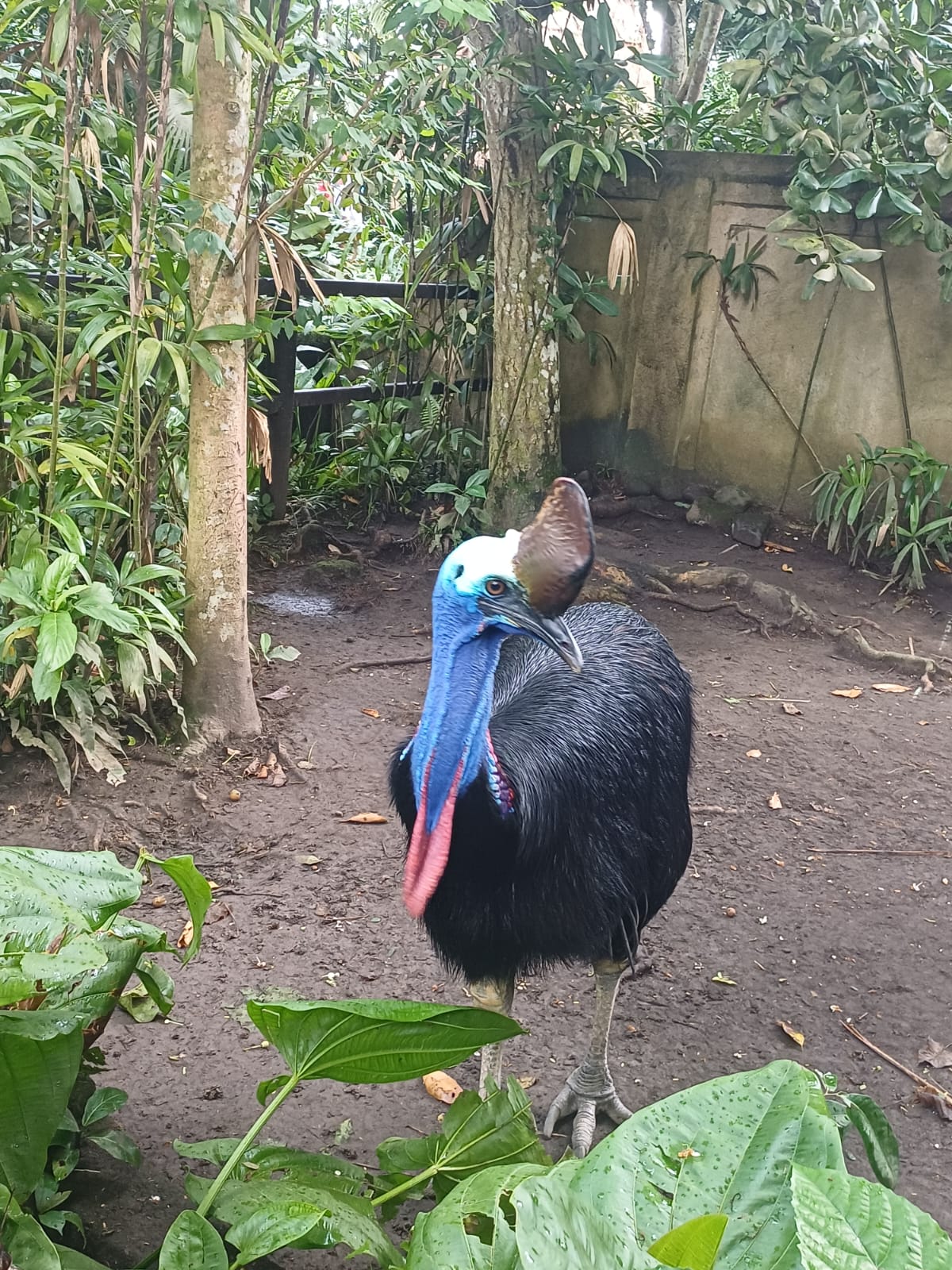 Rafting, Zoo & Bird Park photo 6