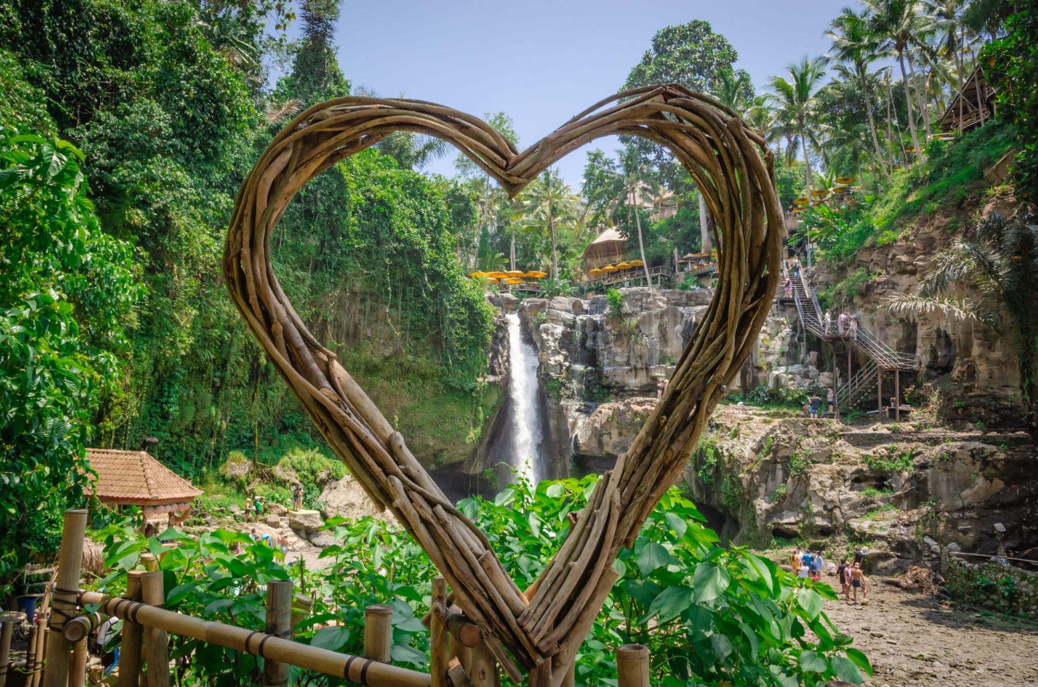 Bali Nature & Kintamani Volcano Adventure photo 3