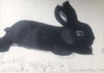 Black Rabbit 2