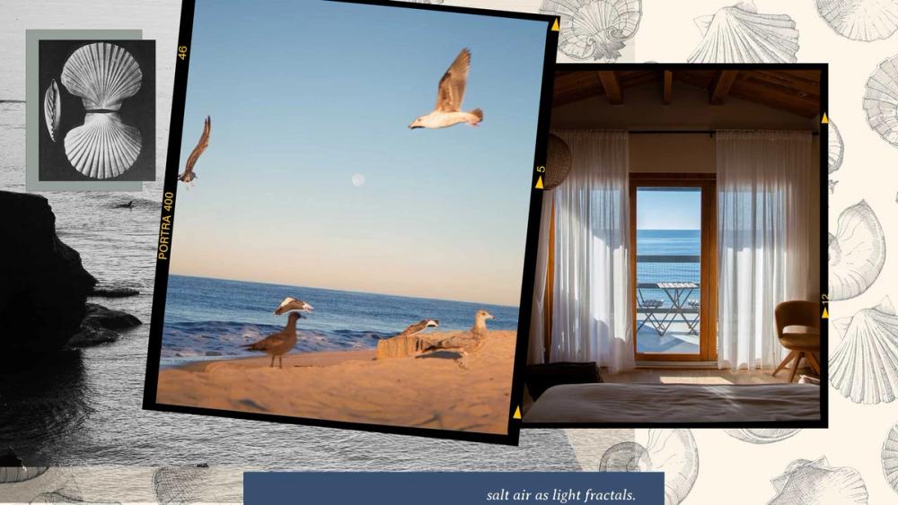 COASTAL DESIGN SAN DIEGO AND THE CARIBBEAN
