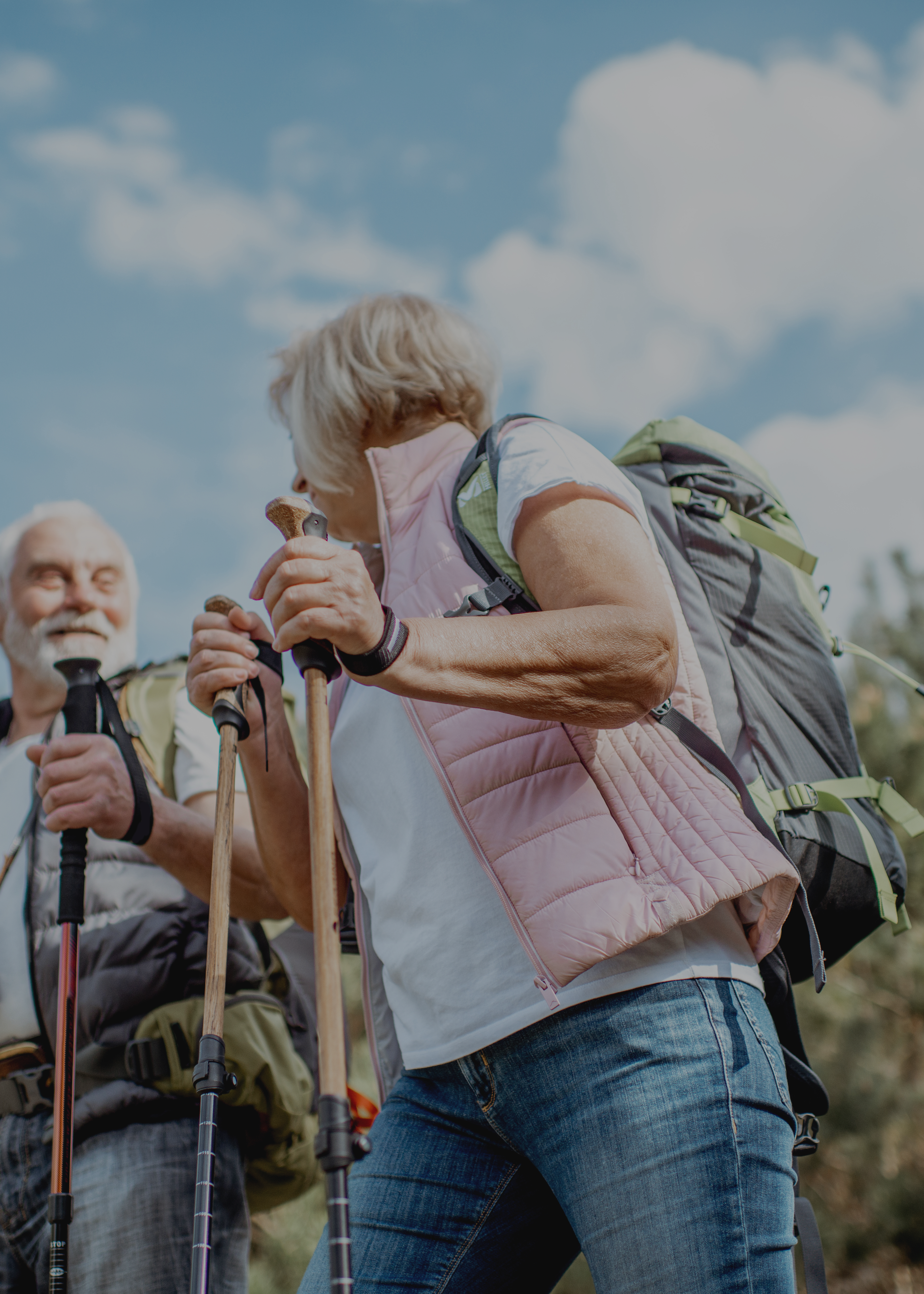 Ældreshoppen baggrund