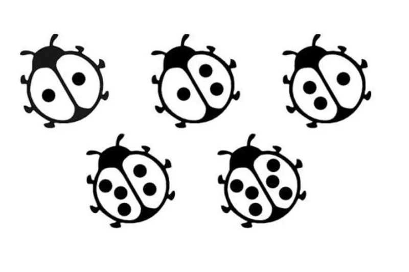 Visual Maths Question 1 puzzle