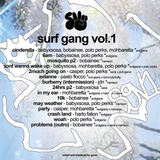 SGV1 by undefined back cover