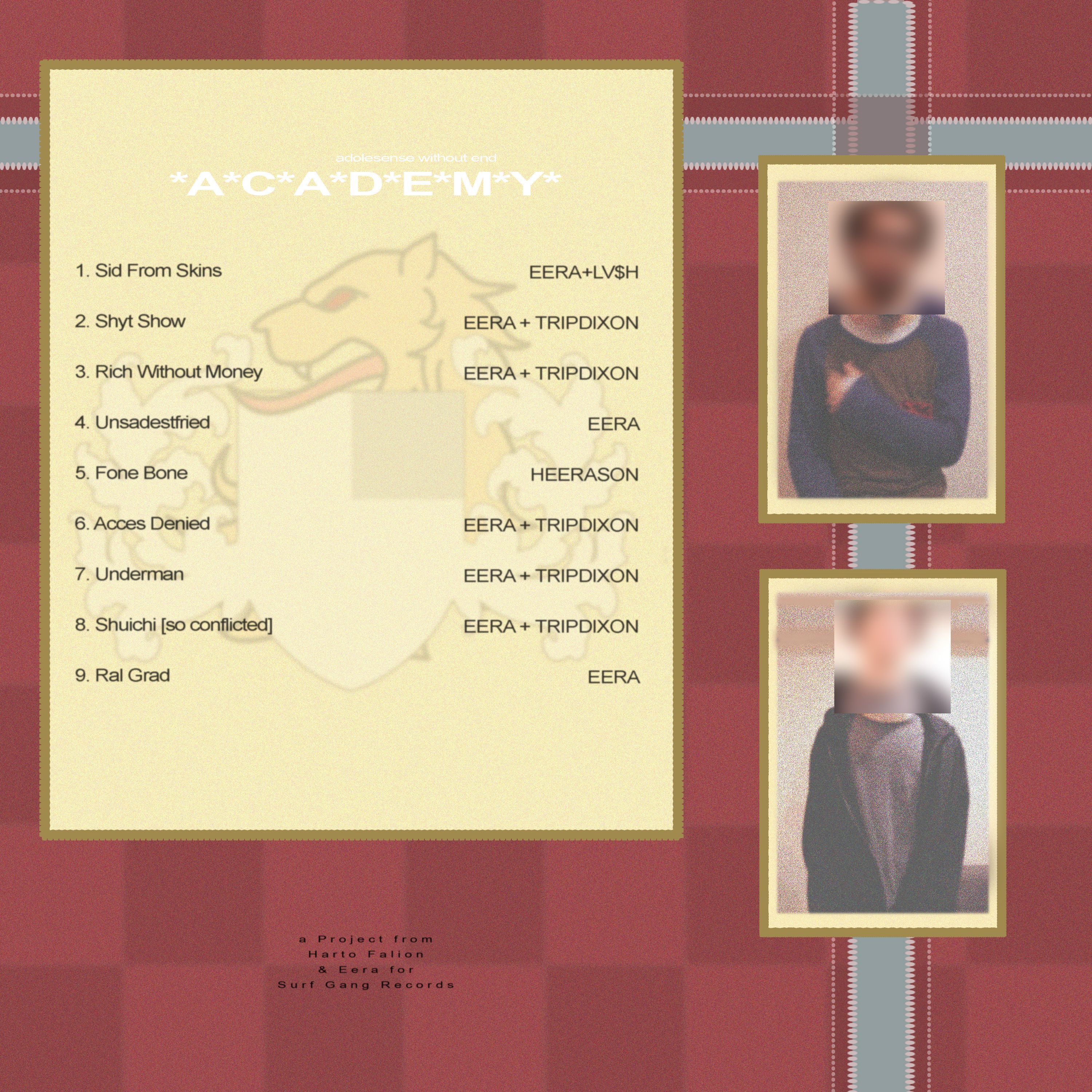 Academy by undefined back cover