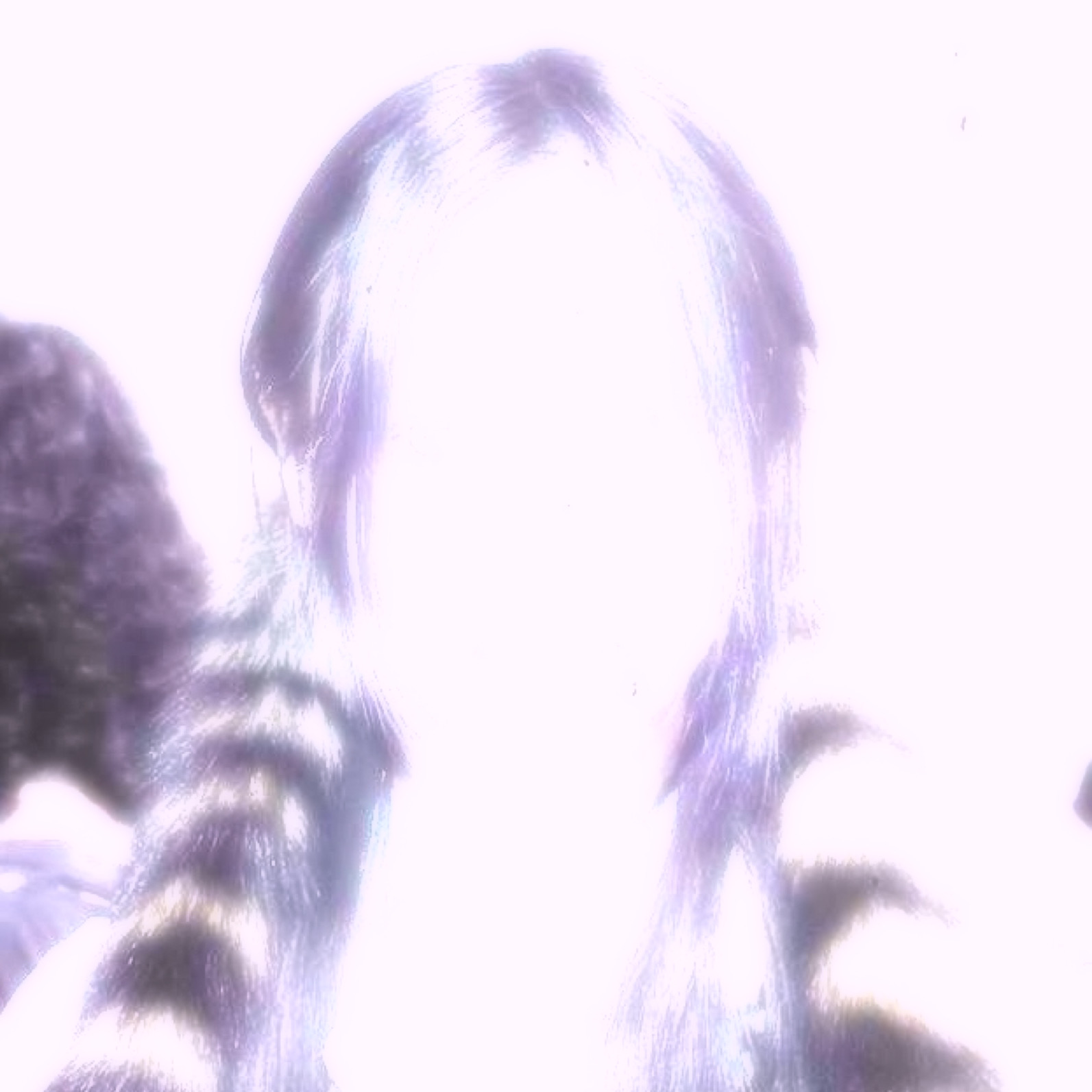 Bleed by Eera album art