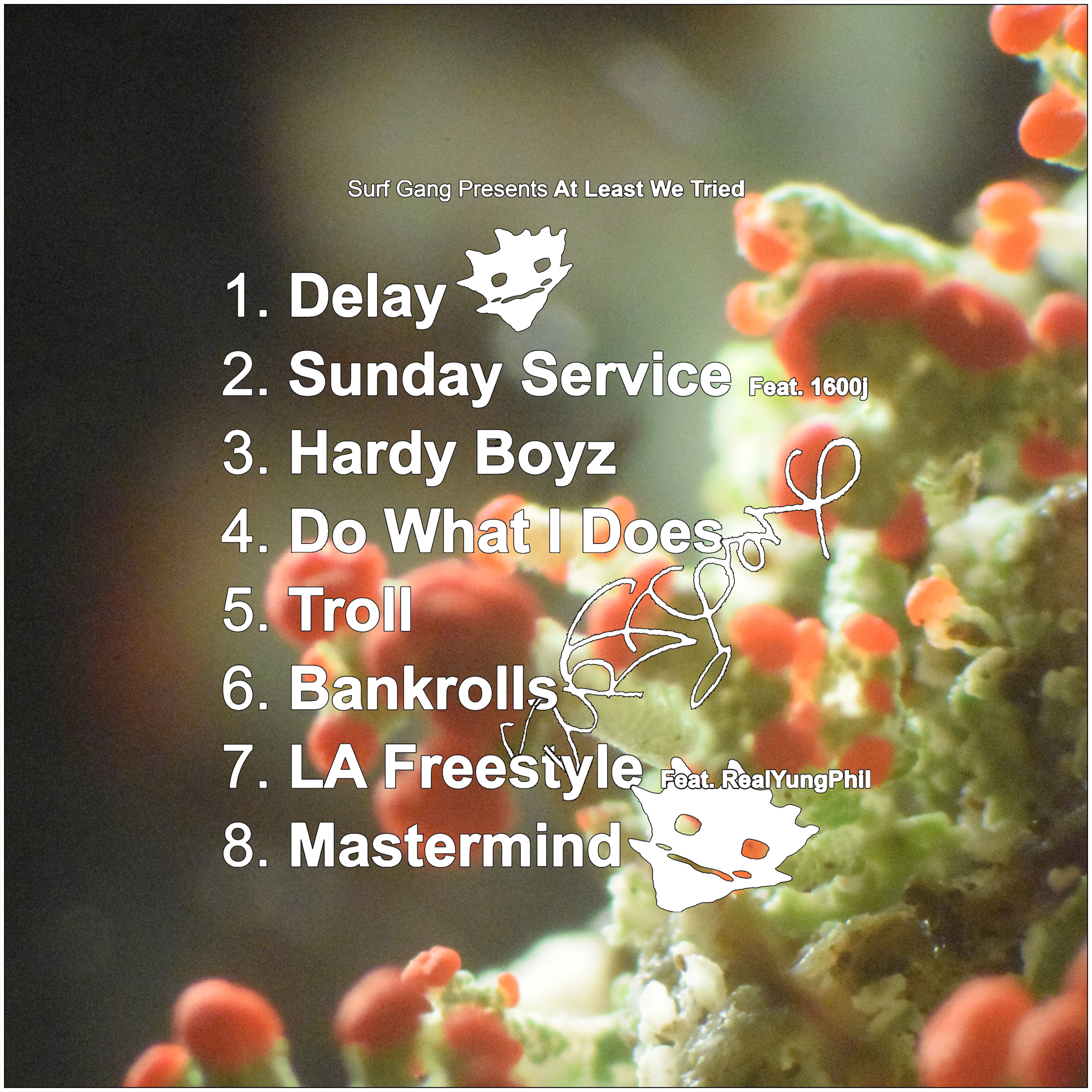 AT LEAST WE TRIED by undefined back cover