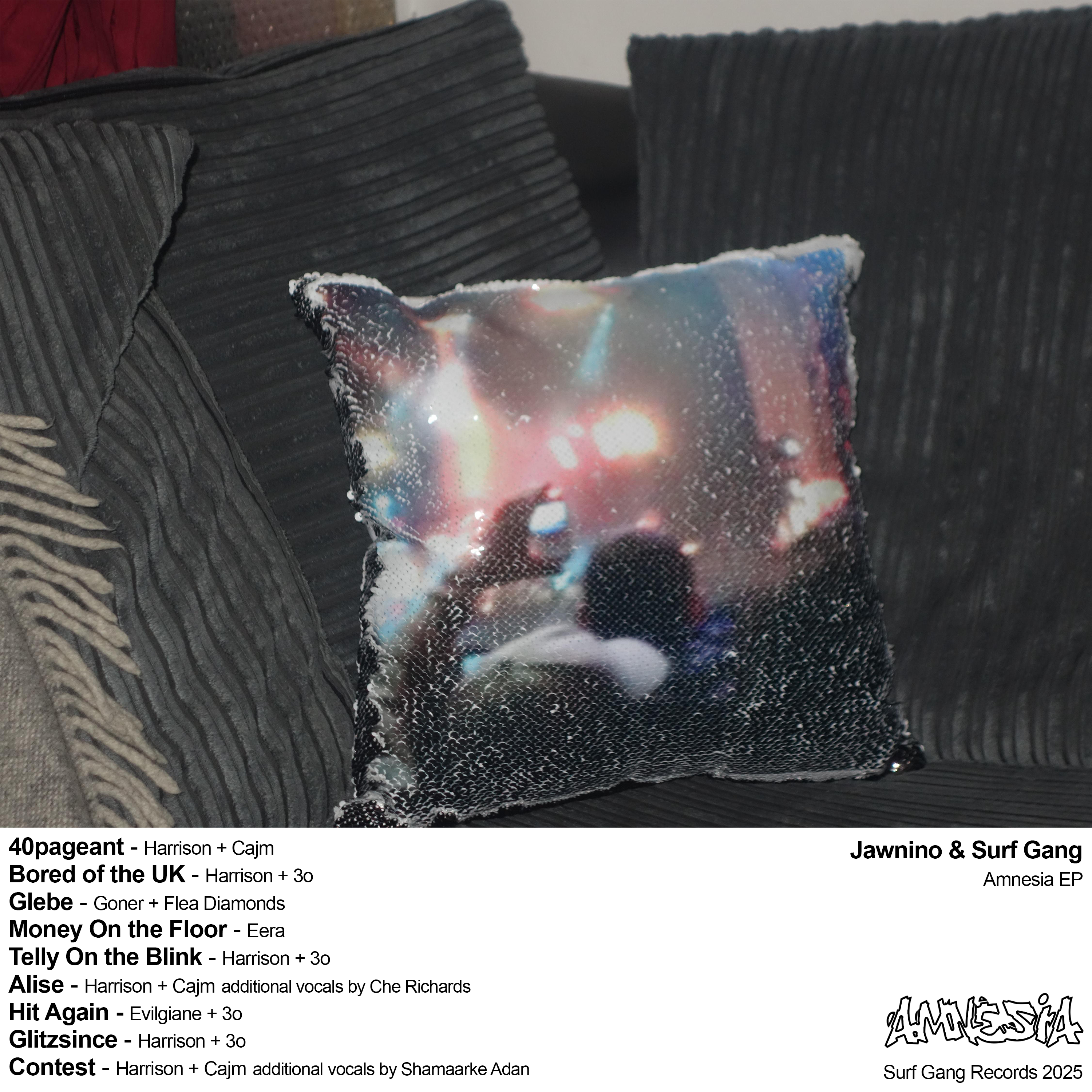 amnesia by undefined back cover