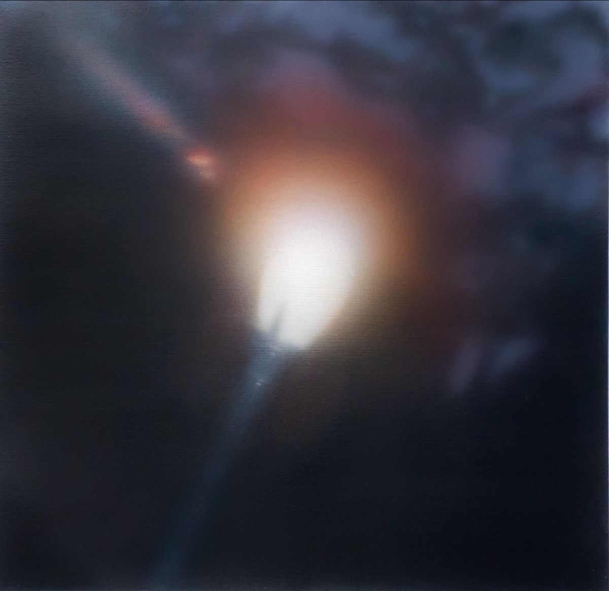 Xavier by undefined back cover