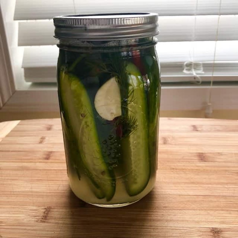 Tangy Fermented Red Salsa