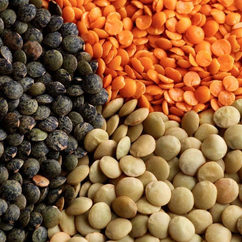 Lentil Salad with Green Beans and Smoked Salmon
