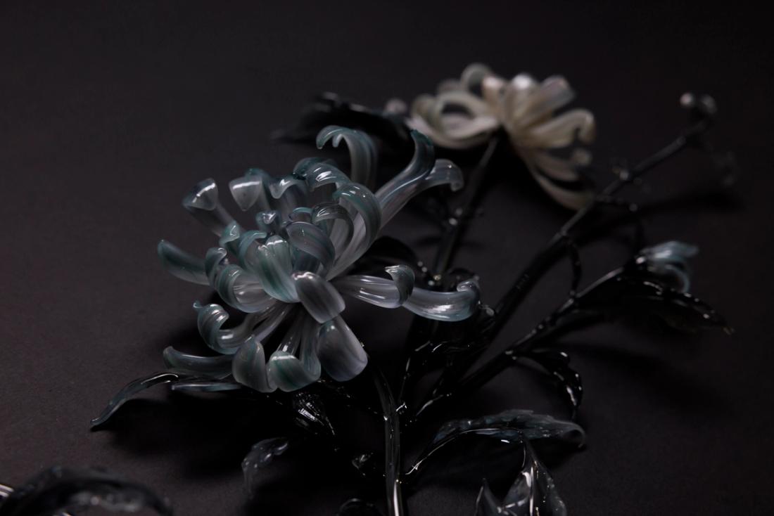 菊花 13