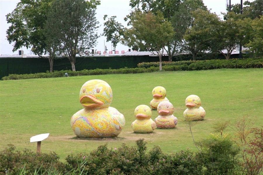 水趣