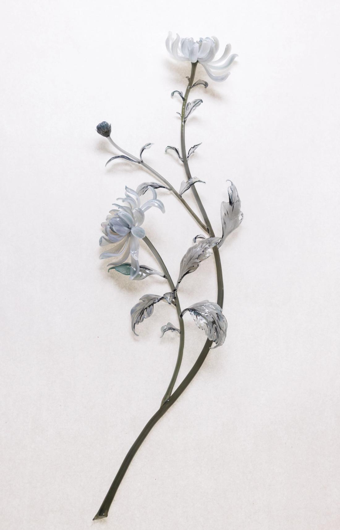 菊花 3