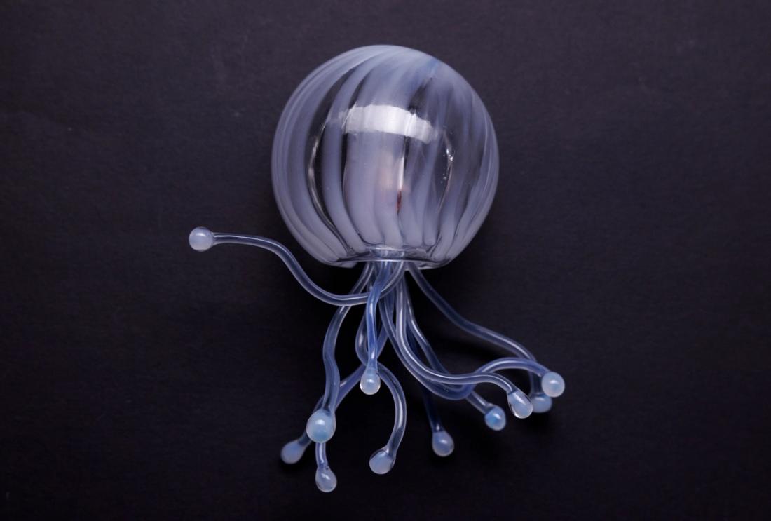 萼水母 4
