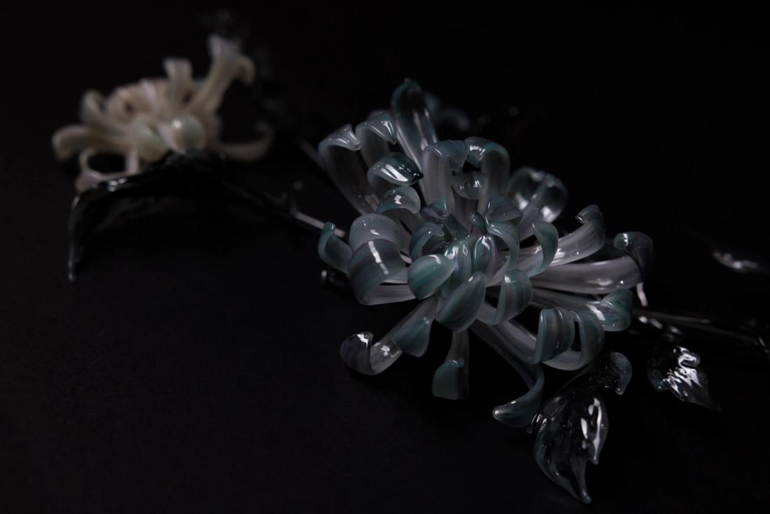 菊花 14