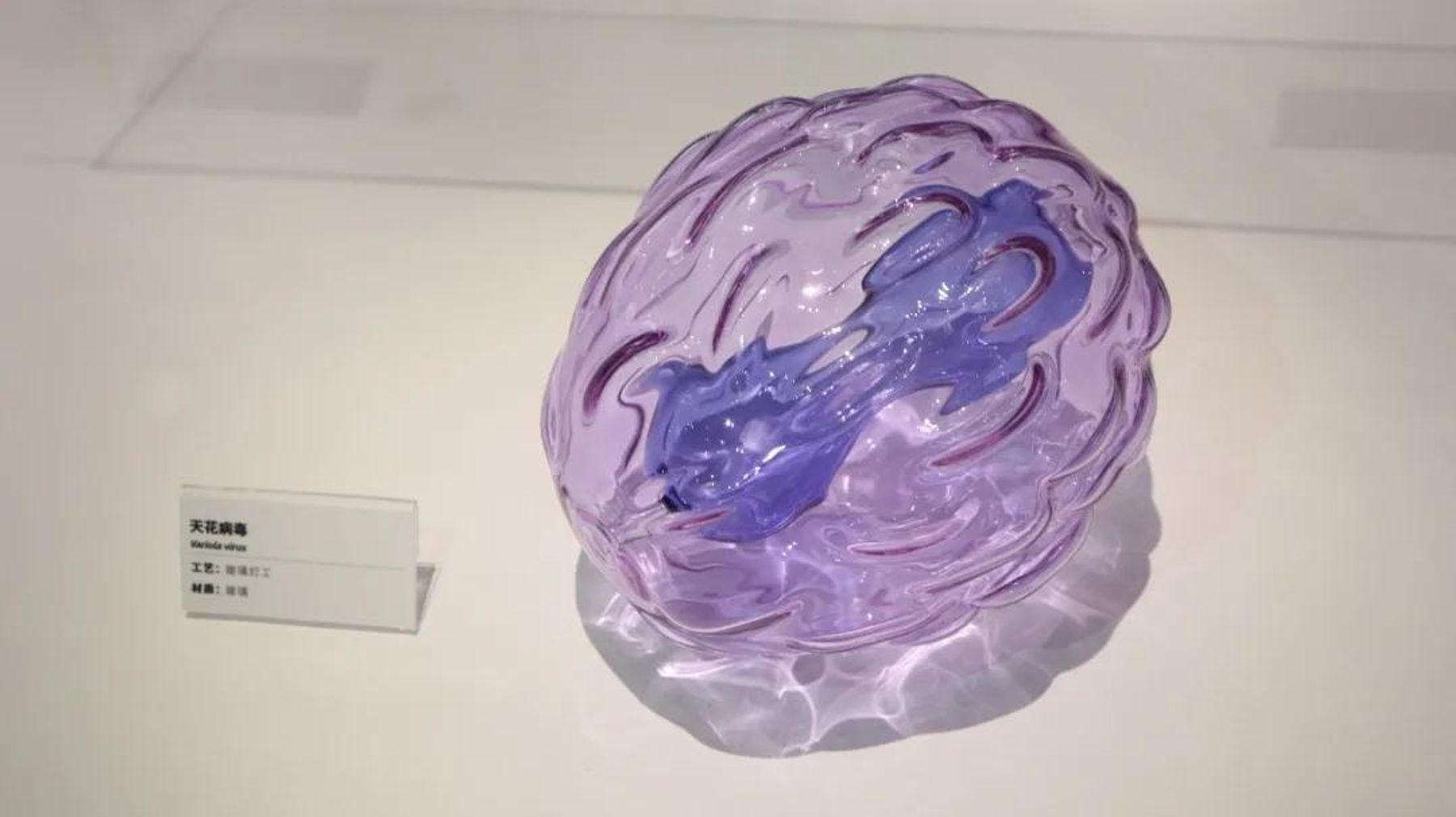 玻璃病毒模型 15