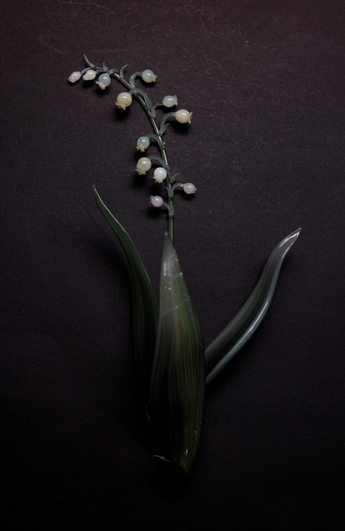 欧铃兰 4