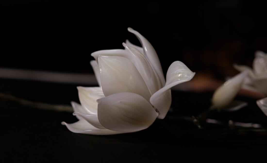 玉兰 4